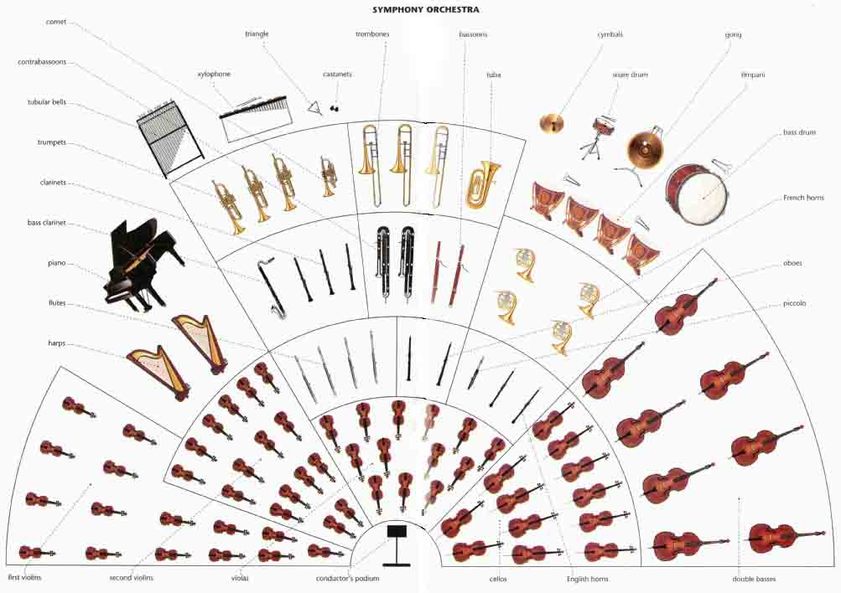 Lecture 10 Instruments Of The Orchestra